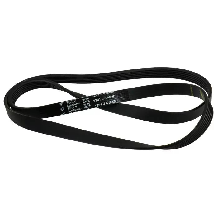 Splendide® Drive Belt 082812
